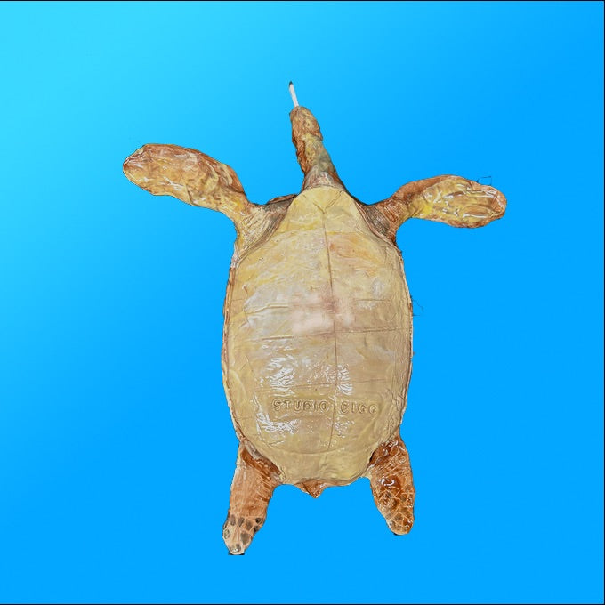 Sea Turtle Smoke Part I - Original