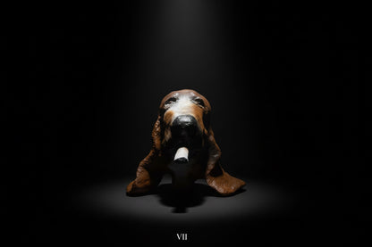 Big Basset - 2 versions