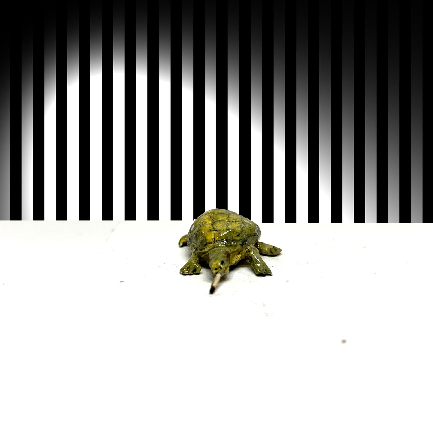 Turtle Smoker - XSmall Original  (3-4cm)
