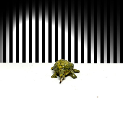 Turtle Smoker - XSmall Original  (3-4cm)