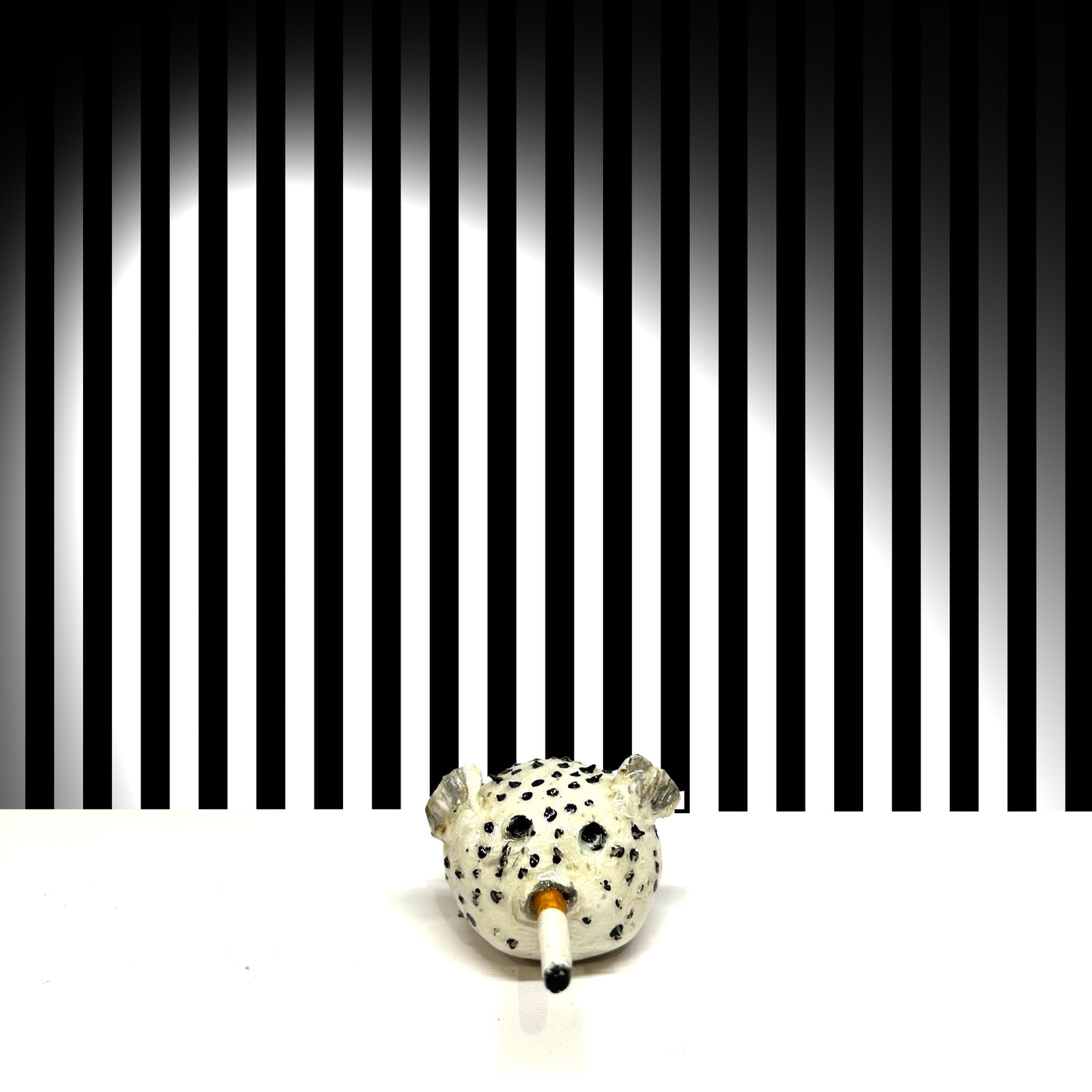 Blowfish - XSmall Original  (3-4cm)