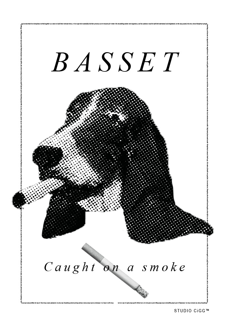 Basset - Limited Edition
