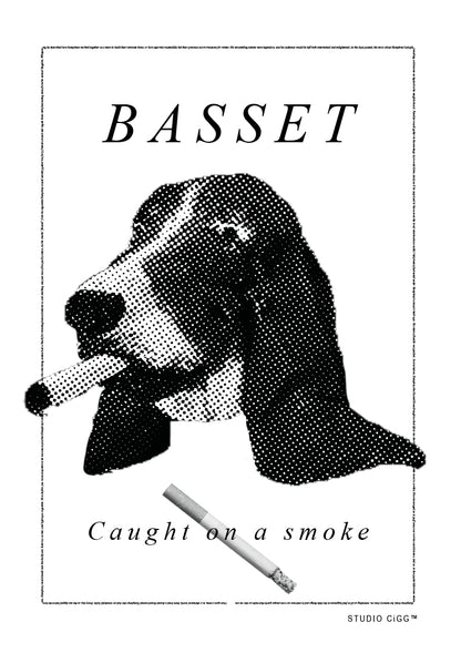 Basset - Limited Edition