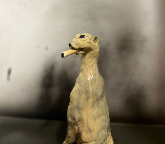 Meerkat Lollo