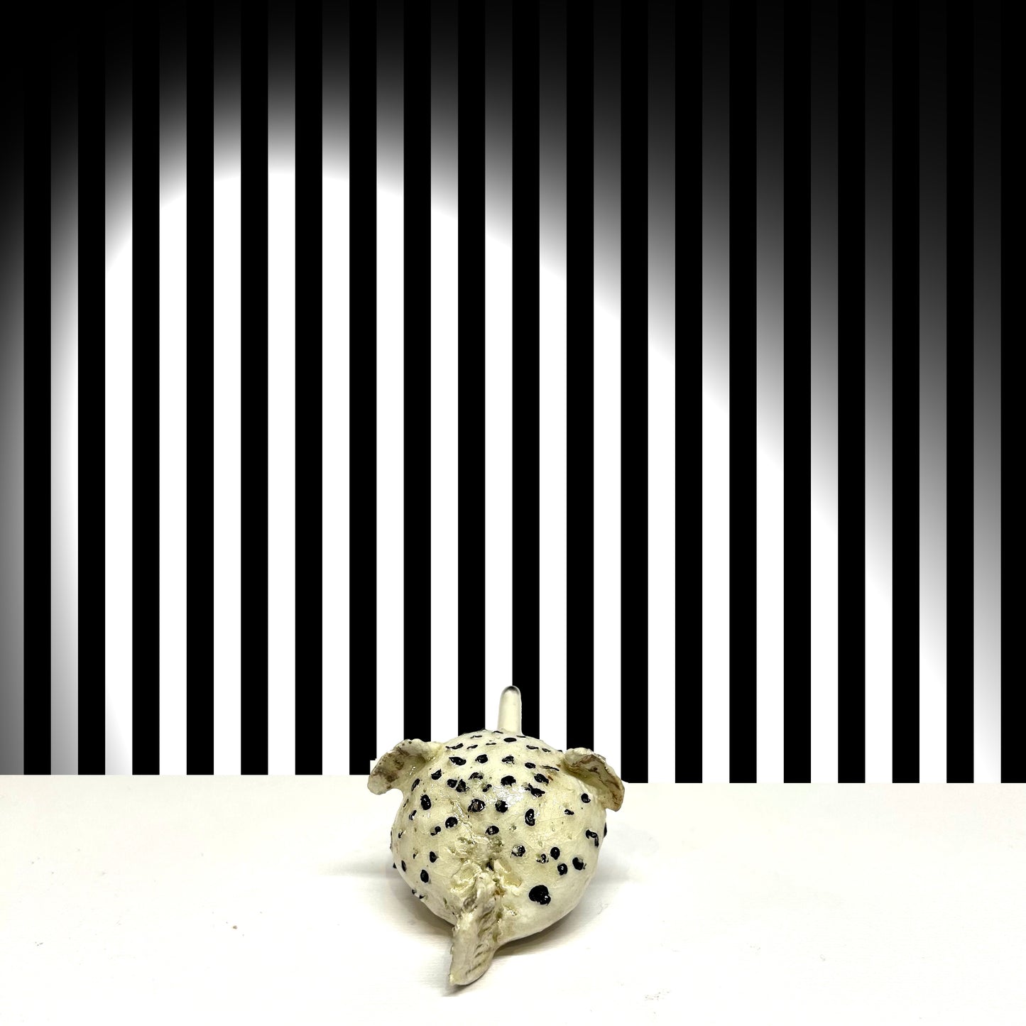 Blowfish - XSmall Original  (3-4cm)