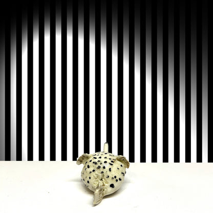 Blowfish - XSmall Original  (3-4cm)
