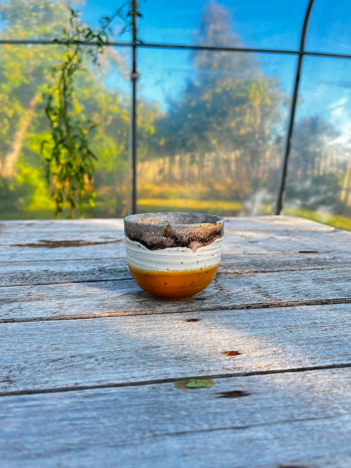 Cig Cup