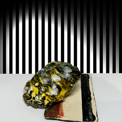 SC Amex & Oyster - Original Ceramic Items