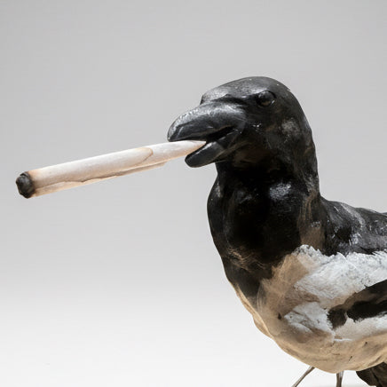 S.C X O.P Skata Original