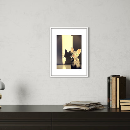 Shadow Smoker Limited