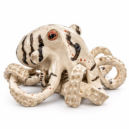 Amazing octopus Smkr