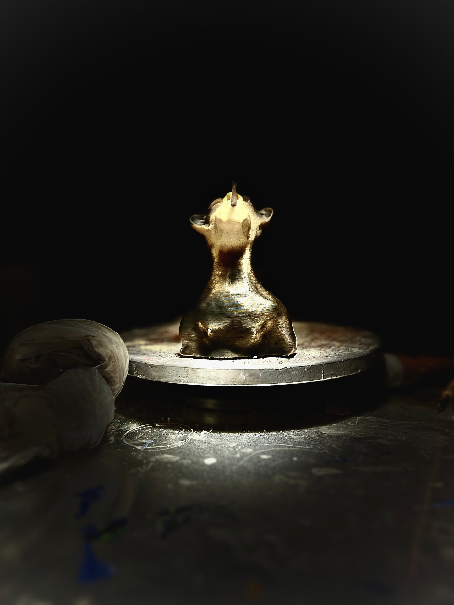 Ring Holder