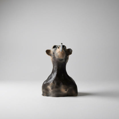 Big sky smoker 45cm