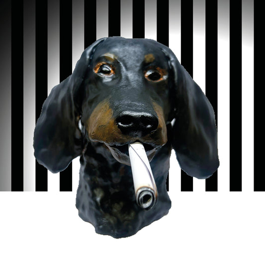 Dachshund (TV @ SMB 24)