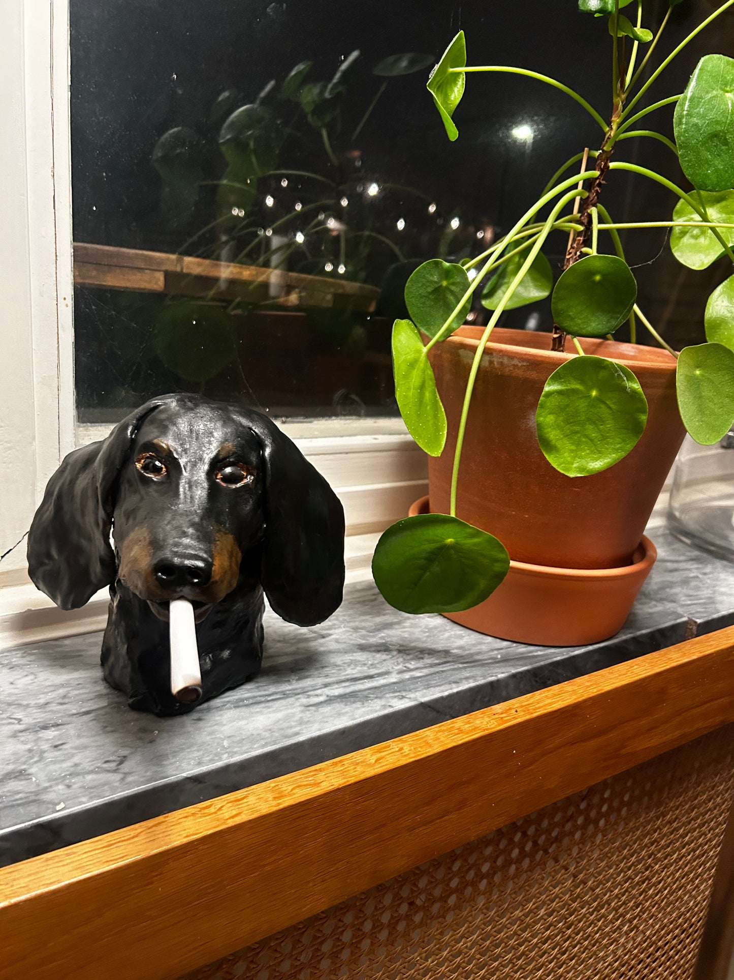 Dachshund (TV @ SMB 24)