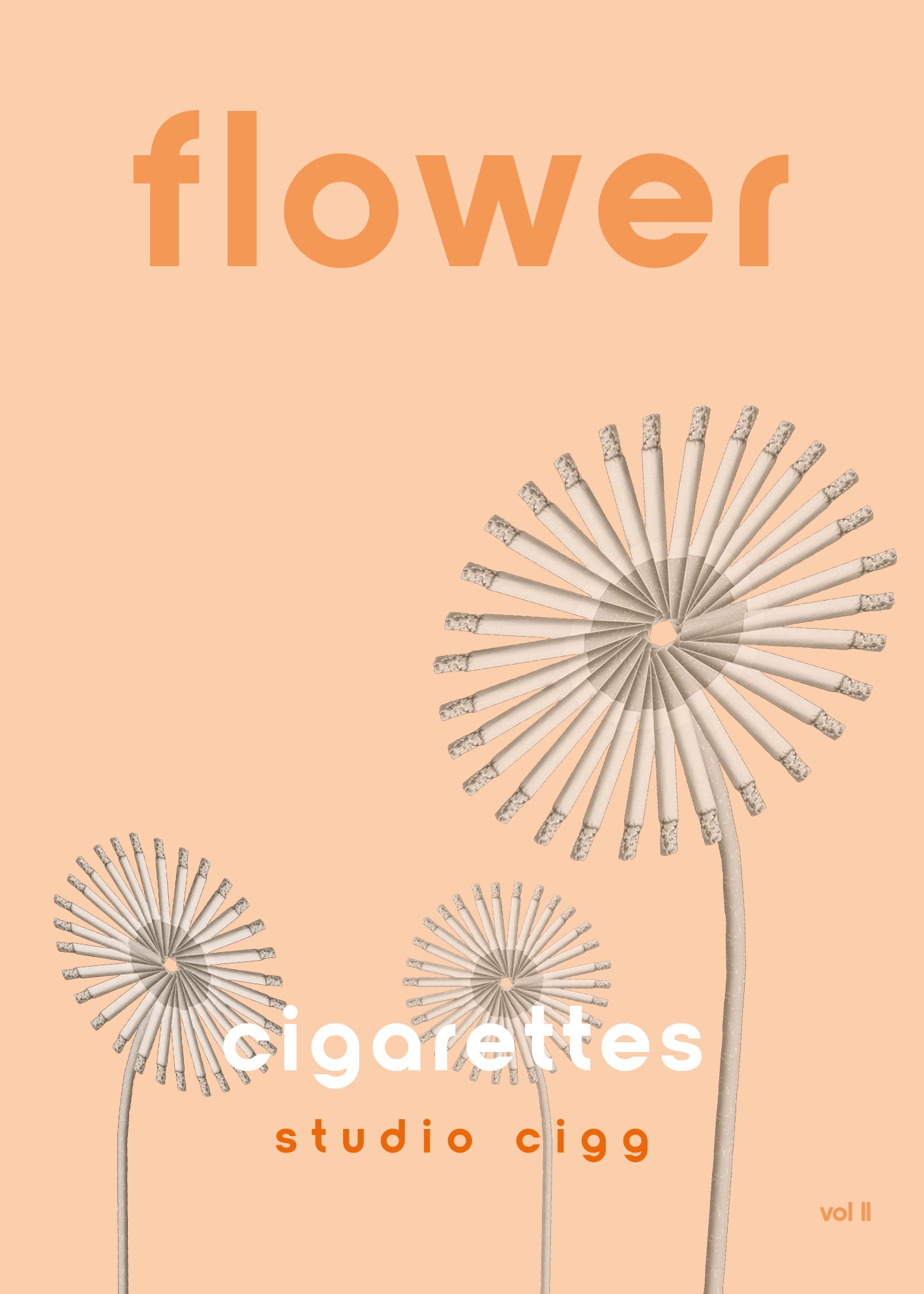 Wall Flower