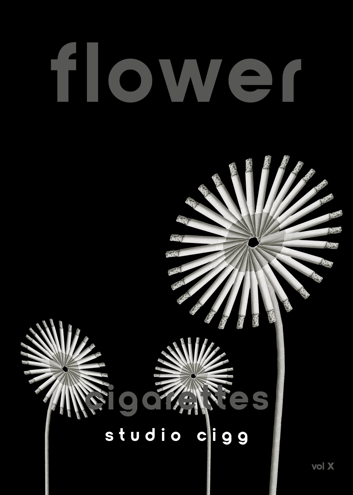 Wall Flower