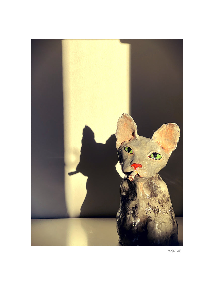 Shadow Smoker Limited